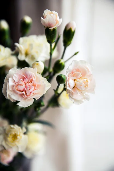 Delicate bouquet of carnations in vintage style — Stock Photo, Image