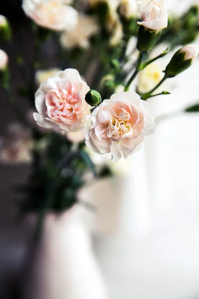 Delicado ramo de claveles en un jarrón vintage. romance —  Fotos de Stock