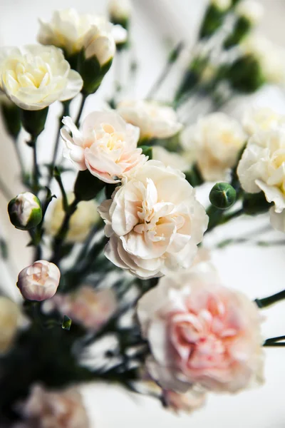 Delicate bouquet of carnations in vintage style — Stock Photo, Image