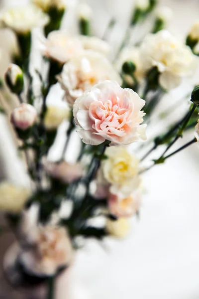 Delicate bouquet of carnations in vintage style — Stock Photo, Image