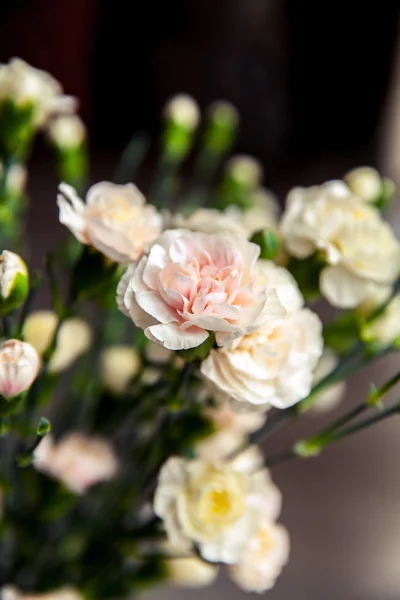 Delicado ramo de claveles en estilo vintage —  Fotos de Stock