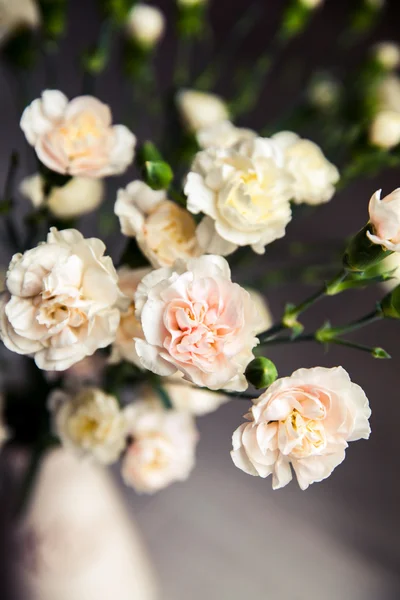 Delicate bouquet of carnations in a vase vintage. romance — Stock Photo, Image