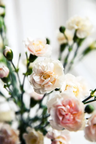 Delicate bouquet of carnations in vintage style — Stock Photo, Image