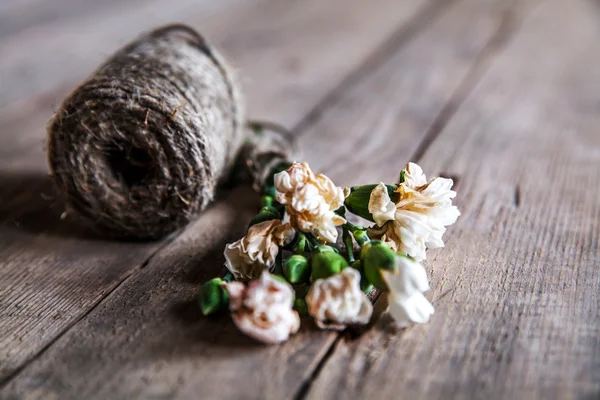 Faded carnations with old scissors and old thread, vintage — Stock Photo, Image