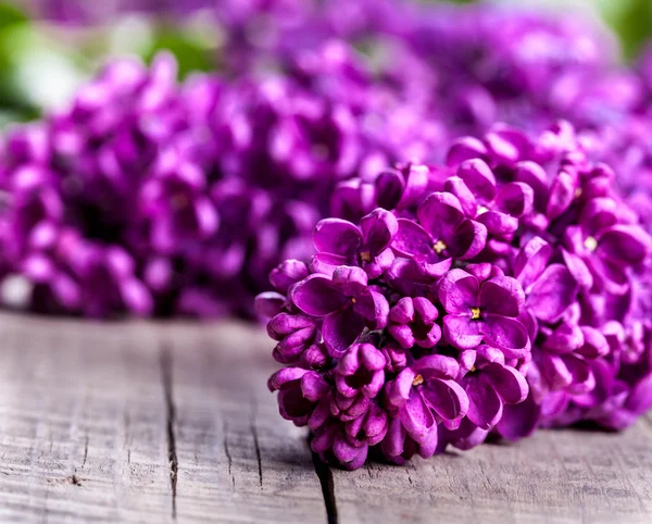 Il bel lilla su uno sfondo di legno — Foto Stock