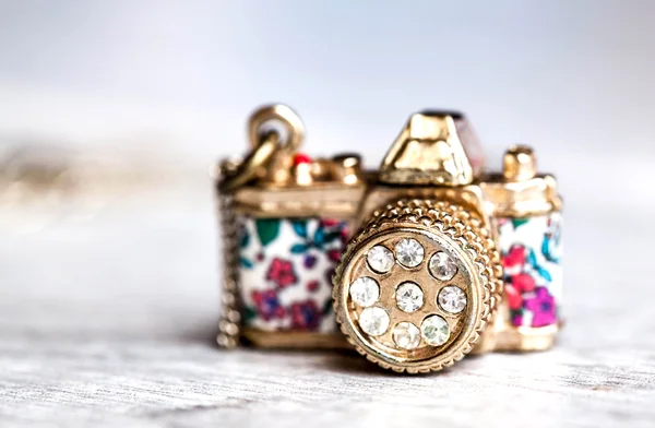 Jewelery, camera with zirconium in beautiful flowers on a gray b — Stock Photo, Image