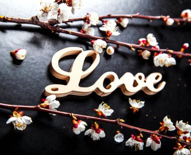 siyah bir arka plan ve ahşap bir işareti ile kelime aşk çiçek