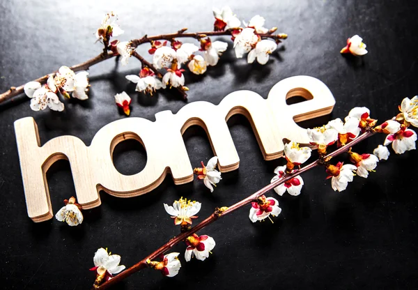 Bloom on a black background and a wooden sign with the word hous — Stock Photo, Image