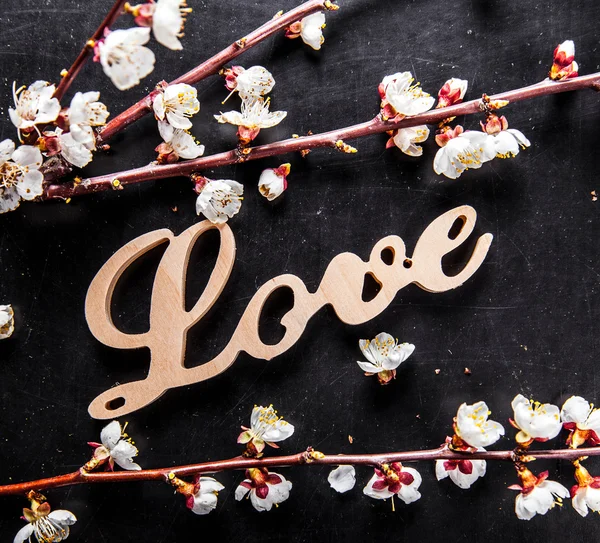 Virágzik a fekete háttér, és egy fa jel, a szerelem szót — Stock Fotó
