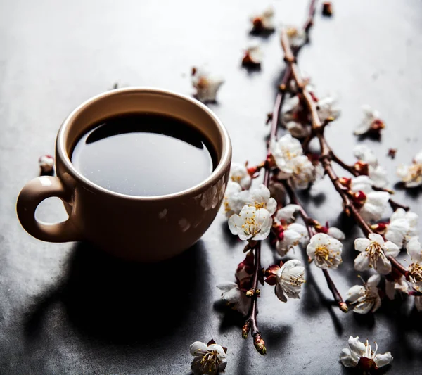 Kopje koffie en roze kersenbloesem. bloemen — Stockfoto