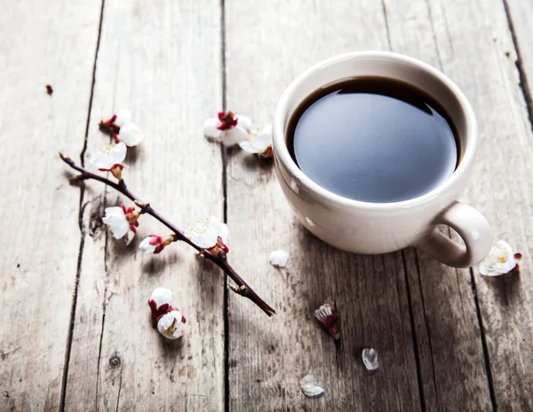 Kersenbloesem op een houten achtergrond met een kopje koffie — Stockfoto