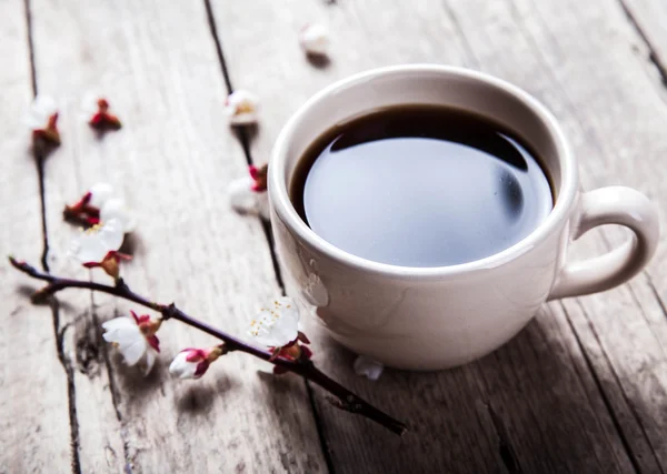 Kersenbloesem op een houten achtergrond met een kopje koffie — Stockfoto