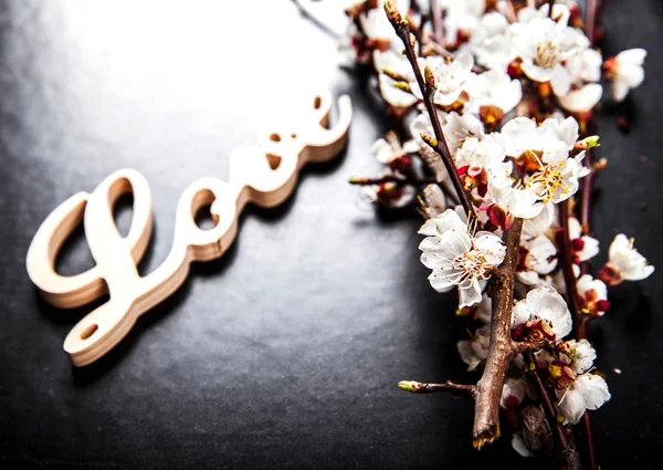 Bloeien op een zwarte achtergrond en een houten bord met het woord liefde — Stockfoto