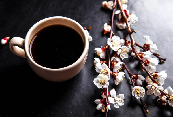 Kopje koffie en roze kersenbloesem. bloemen — Stockfoto