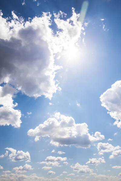 Sullo sfondo del cielo soleggiato. Composizione della natura . — Foto Stock