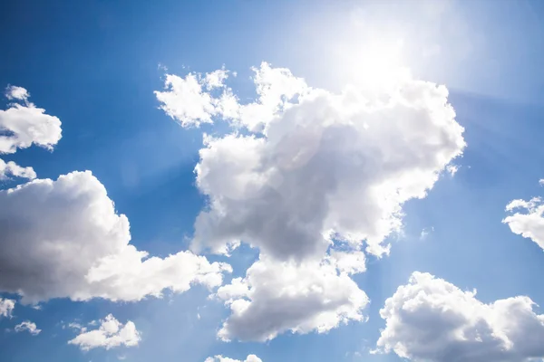 Sullo sfondo del cielo soleggiato. Composizione della natura . — Foto Stock