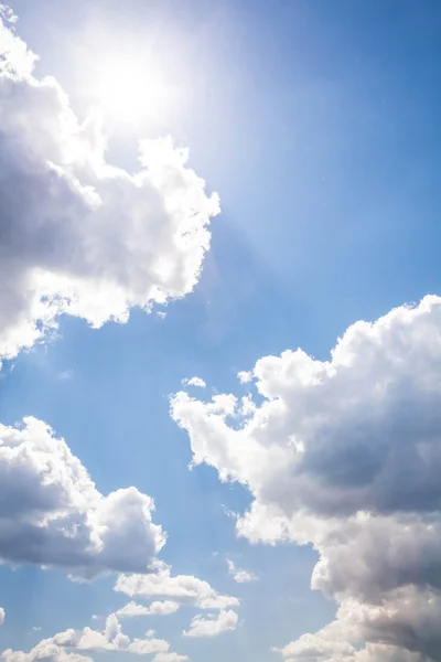 Sullo sfondo del cielo soleggiato. Composizione della natura . — Foto Stock