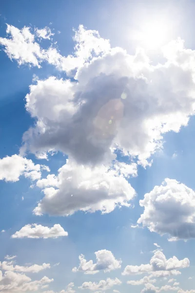 Sullo sfondo del cielo soleggiato. Composizione della natura . — Foto Stock