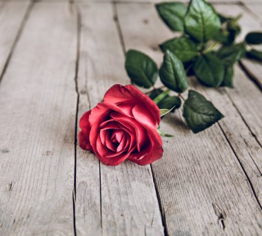 Ahşap arkaplanda kırmızı gül
