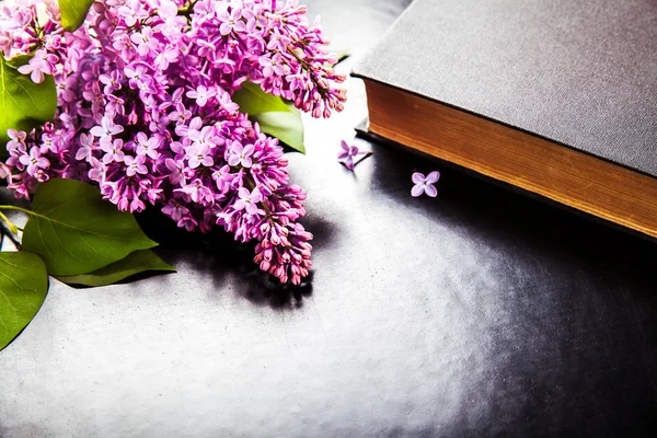 The beautiful lilac with an old book on black background — Stock Photo, Image