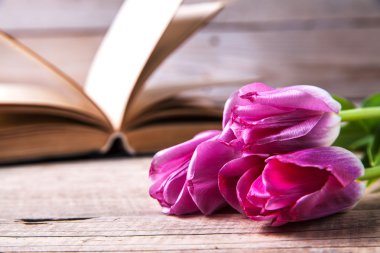Flowers. pink tulips on a pile of old books