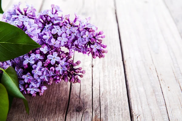 The beautiful lilac on a wooden background — Stock Photo, Image