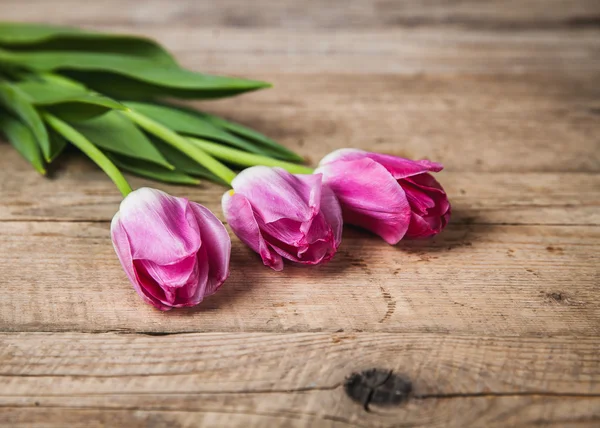 Des fleurs. tulipes sur un fond en bois avec espace pour le texte — Photo