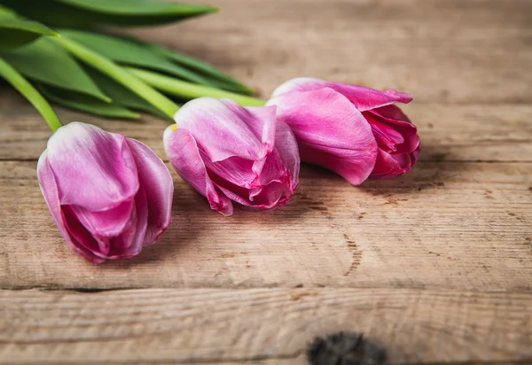 Des fleurs. tulipes sur un fond en bois avec espace pour le texte — Photo