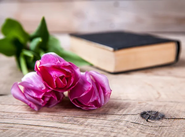 फुले आहेत. जुन्या पुस्तकांच्या संख्येवर गुलाबी टलिप्स — स्टॉक फोटो, इमेज