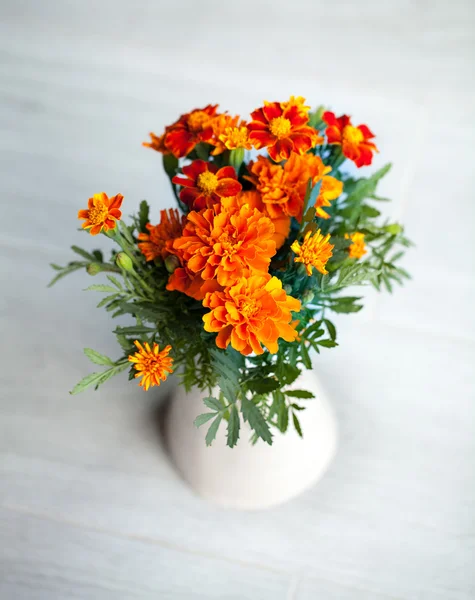 Gri arka plan üzerinde vazoda marigolds çiçekler — Stok fotoğraf
