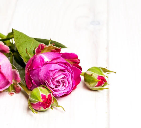 Flor de rosa branca no fundo de madeira branco. flores — Fotografia de Stock