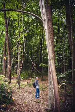 Sırt çantası avare ile genç yakışıklı adam portresi yürümek
