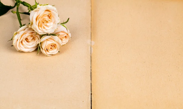 Rosas em um livro antigo sobre fundo de madeira branca. flores — Fotografia de Stock