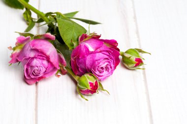 Beyaz ahşap zemin üzerinde beyaz gül çiçek. çiçekler