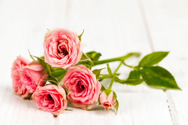 Rosas em pranchas de madeira branca fundo. flores — Fotografia de Stock