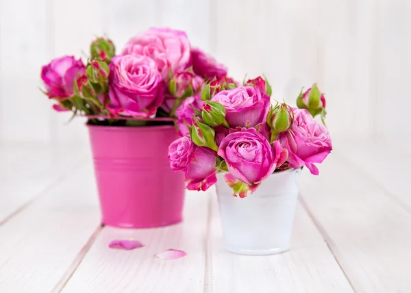 Roze rozen op witte houten achtergrond. bloemen — Stockfoto