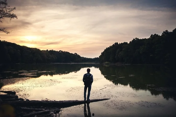 Турист на озере с лесом. Элемент дизайна . — стоковое фото