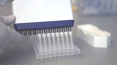 12 kanal standart PCR çok kanallı pipette, 8 kanallı pipetler 96 adet kuyu mikroplakası veya 96 mikro plaka içinde biriktirip laboratuvar testi kavramlarını kapatın..