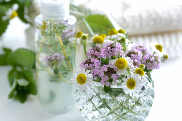 Cosméticos naturales con hierbas —  Fotos de Stock