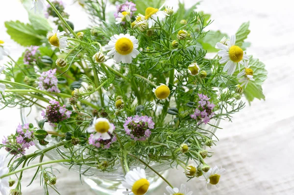 Kwiaty rumianku i tymianek — Zdjęcie stockowe