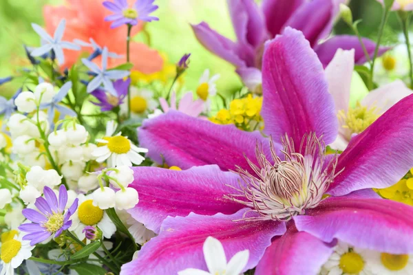 Blumenschmuck von Clematis — Stockfoto