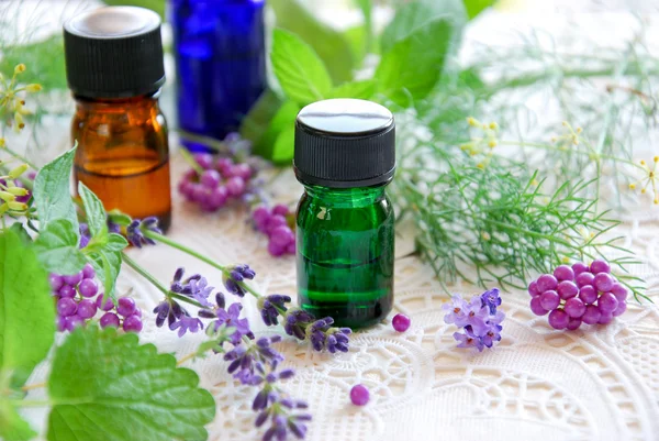 Essential oils with herbs — Stock Photo, Image