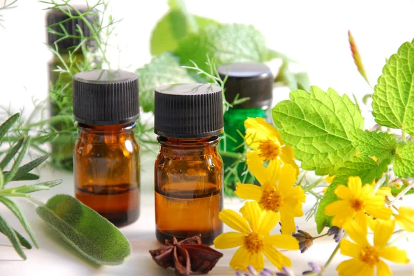 Essential oils with marigold and leaves — Stock Photo, Image