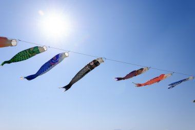 Mavi gökyüzünde sazan flamalar