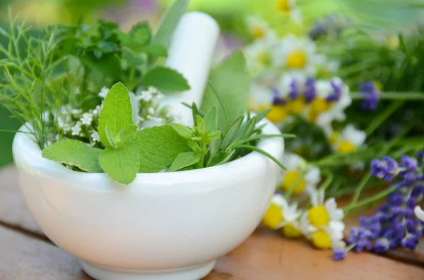 Natuurlijke apotheker — Stockfoto