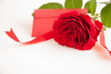 rose and message
