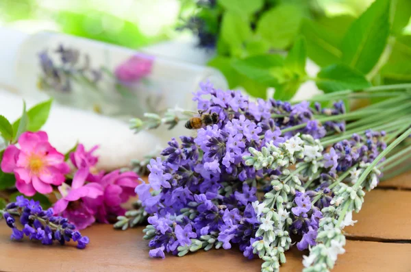 Tratamento de beleza natural — Fotografia de Stock