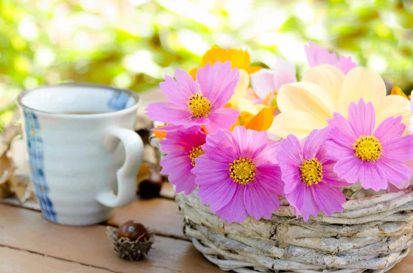 Cosmos flores en cesta — Foto de Stock