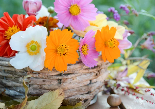 Cosmos flowers in basket — Stock Photo, Image