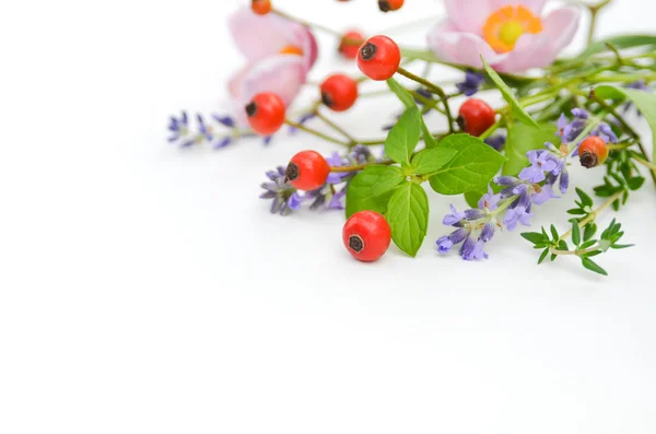 Bouquet van kruiden en bessen — Stockfoto